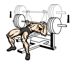 brench press
