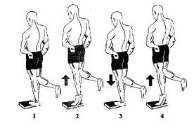 standing calf raises