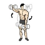 front dumbell raises
