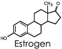estrogen