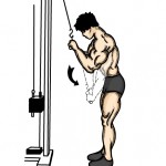 tricep press
