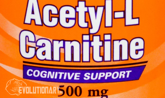 Acetyl-L-Carnitine