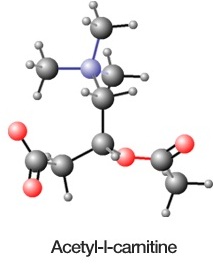 Acetyl l-carnitine