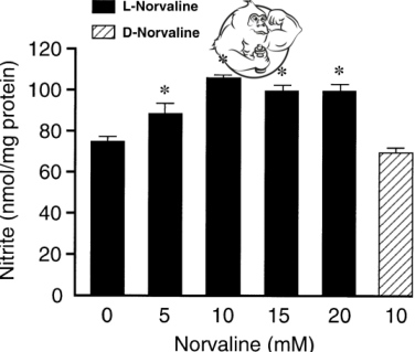L-Norvaline vs D-Norvaline