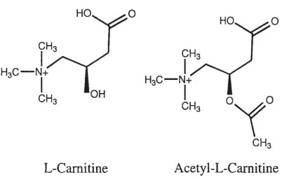 acetyl l-carnitine chemical structure