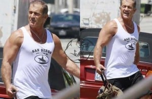 mel gibson steroids