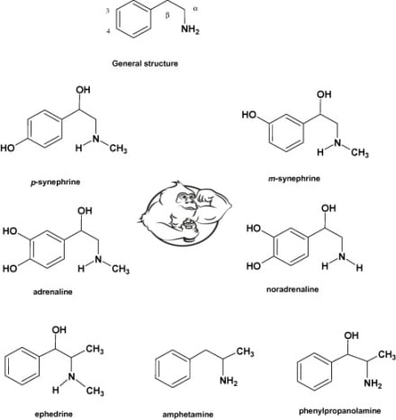 synephrine chemical structures