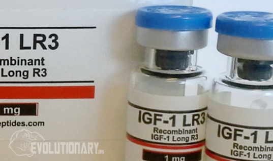 IGF-1 lr3 the Anabolic Powerhouse