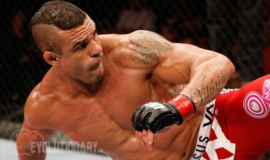 Vitor Belfort Steroid Cycle