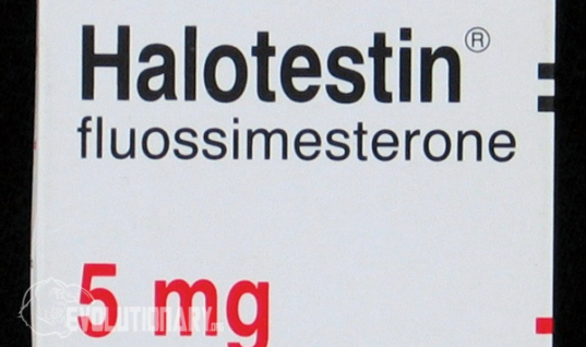 Halotestin (Fluoxymesterone)