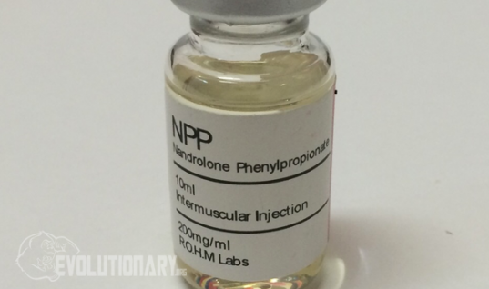 Nandrolone Phenylpropionate (NPP)