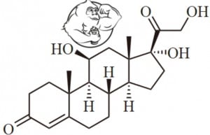 cortisol chemical structure