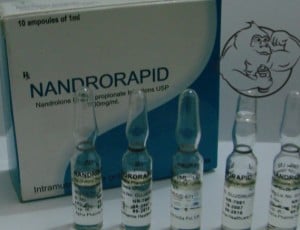 nandrolone phenylpropionate nandrorapid