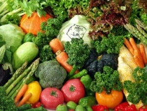 raw-food-diet-selection-300x227.jpg
