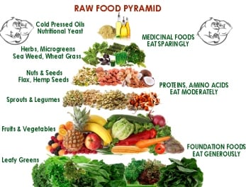 raw food diet