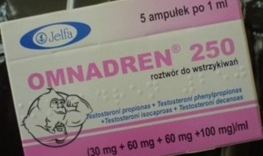 Jelfa pharmaceutical omnadren-250