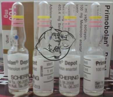 Schering-Primobolan Depot ampules