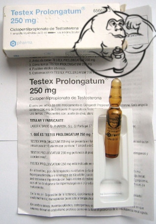 q-pharma testex prolongatum cypionate