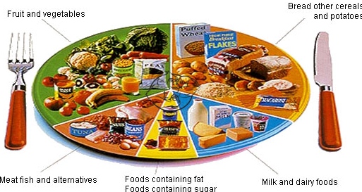 southbeach diet