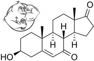 7-Keto-DHEA