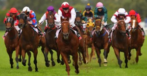 Jockey Club Could Seek Federal Control Of Race Medications