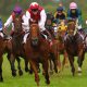 Jockey Club Could Seek Federal Control Of Race Medications