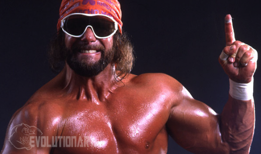 Macho Man Randy Savage Steroids Cycle