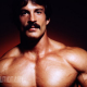 Mike Mentzer Steroids Cycle