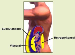 Visceral Adipose Tissue
