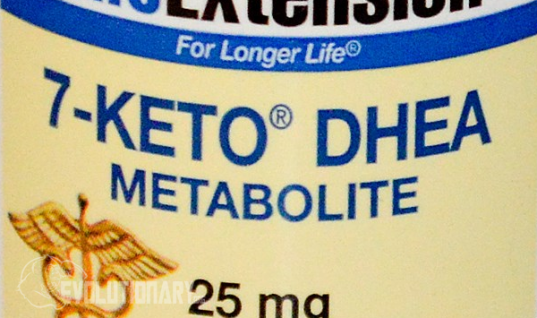 What-is-7-Keto-DHEA