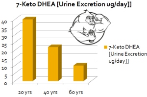 7 keto dhea half life urine
