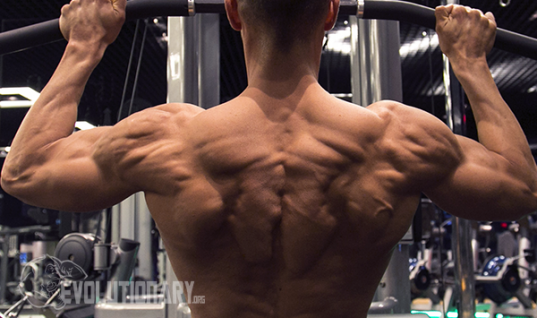 Shoulder-Training