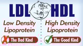ldl vs hdl