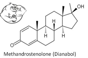 Primobolan and test prop cycle