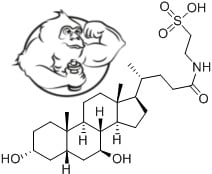 Tauroursodeoxycholic acid tudca chemical structure