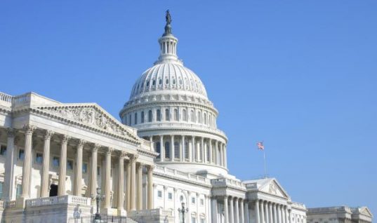 Designer Anabolic Steroid Control Act