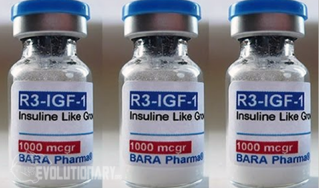 igf 1 lr3 zsírvesztés tudsz- e fogyni MS- sel