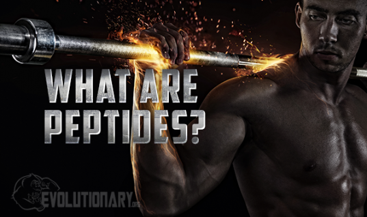 What are peptides