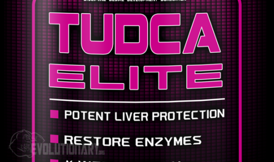 What-is-TUDCA