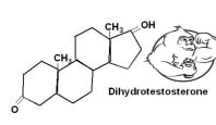 dihydrotestosterone dht chemical structure