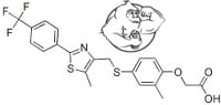 gw-501516 cardarine chemicalstructure