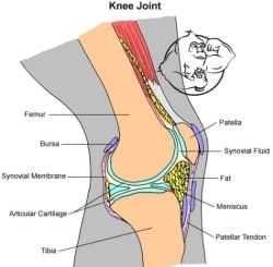 joint injuries winstrol