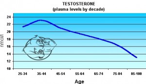 testosterone levels by age