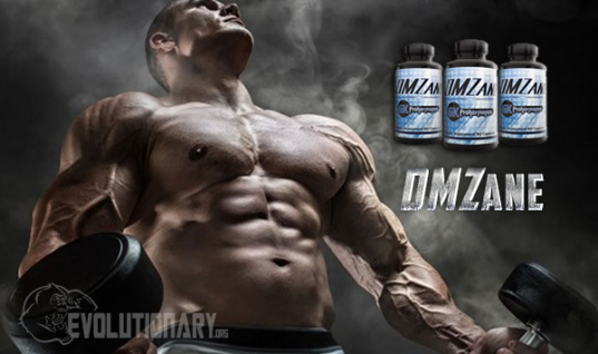 DMZane