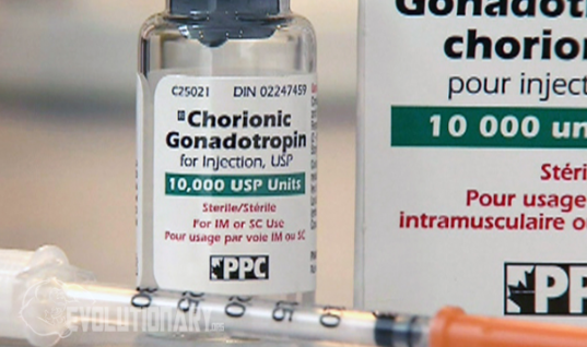 HCG-(Human Chorionic Gonadotropin)-Profile