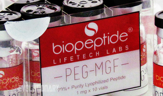 PEG MGF – IGF-1Ec Explained