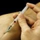 doping in high school sports
