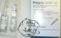 organon pregnyl
