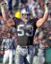 Bill Romanowski cycle