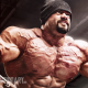 Branch Warren Steroid Cycle